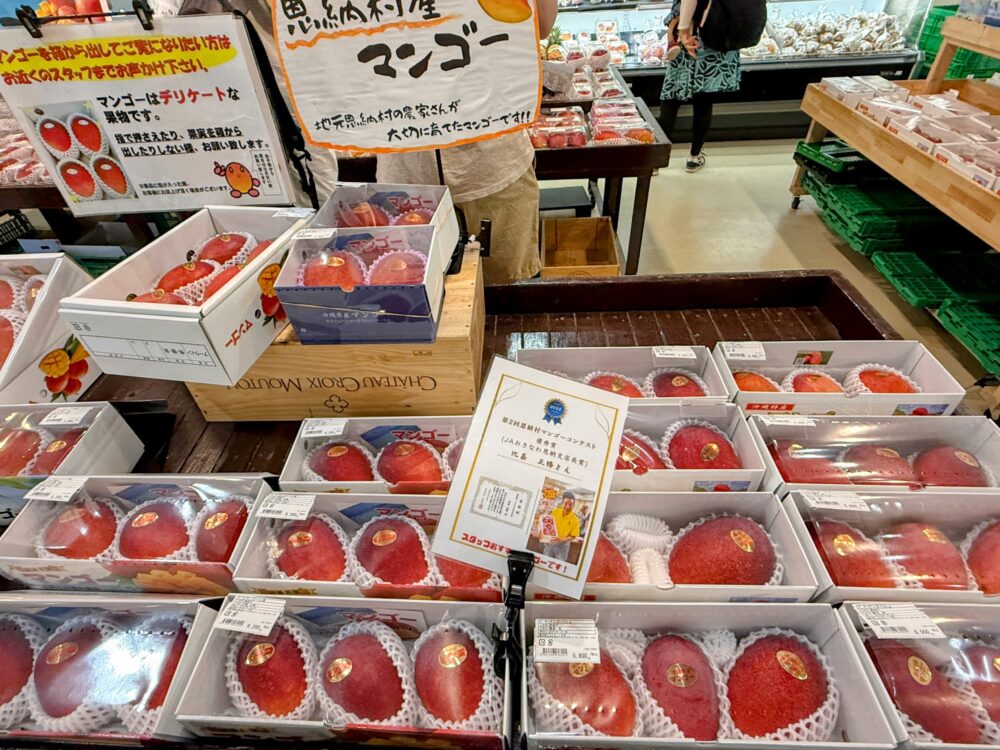 おんなの駅 なかゆくい市場の南国フルーツたっぷりのかき氷