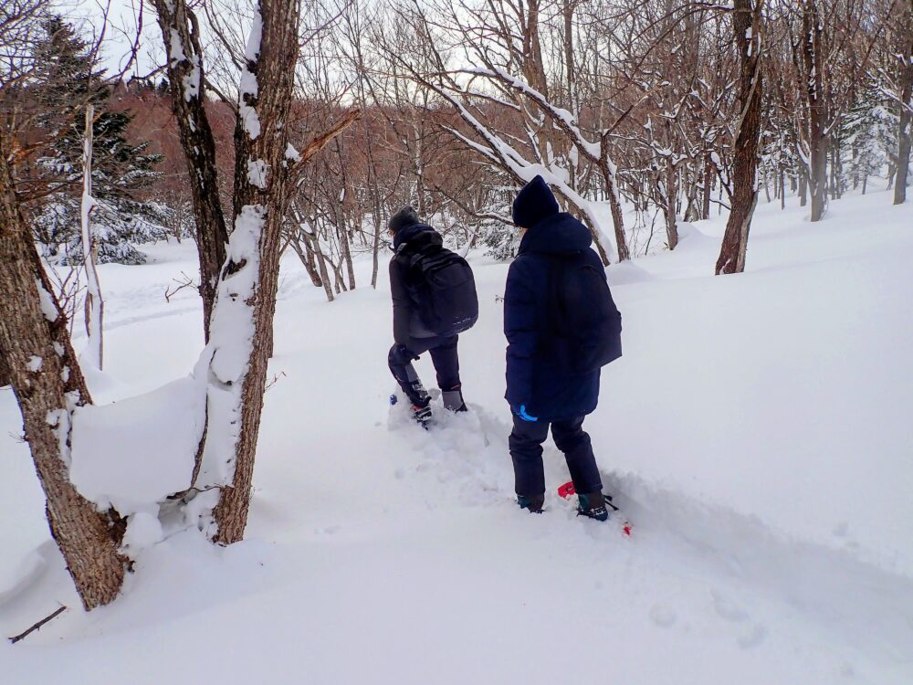スノーシューで降り積もった雪を歩く