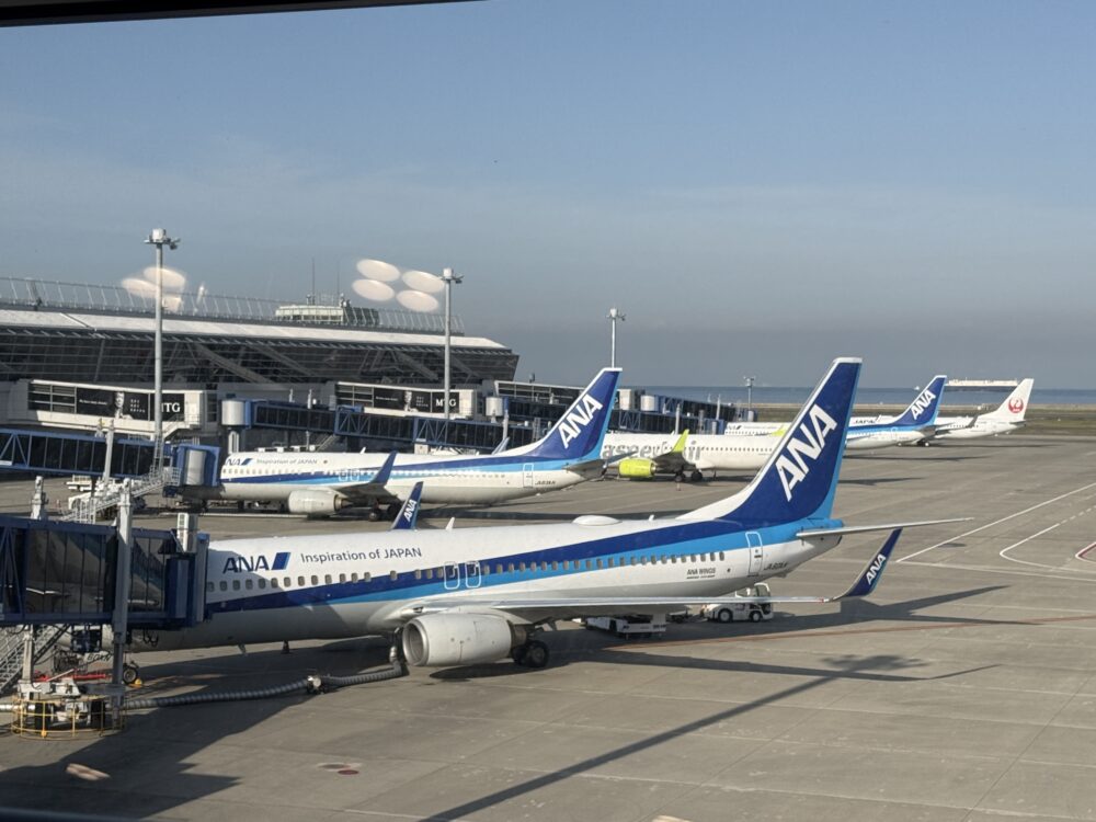 中部国際空港セントレアの駐機場に並ぶANAの飛行機。手前にはANA WINGSの機体が見える。