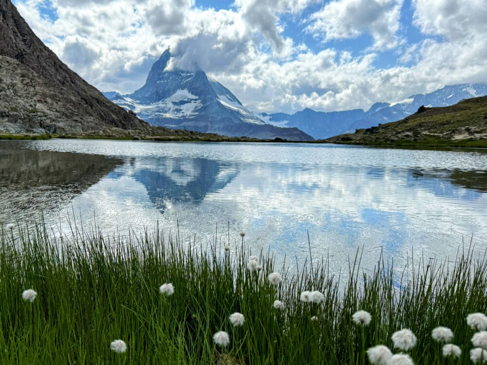 スイスの山上湖、リッフェル湖（Riffelsee）の美しい風景。湖の手前には、白い綿毛をつけた高山植物と鮮やかな緑の草が茂っています。湖面は風がなく穏やかで、雲と青空、そして山頂付近に雲がかかったマッターホルンの雄大な姿が水面に鏡のように映り込んでいます。水面下のマッターホルンの形がはっきりと見え、逆さマッターホルンに近い絶景です。