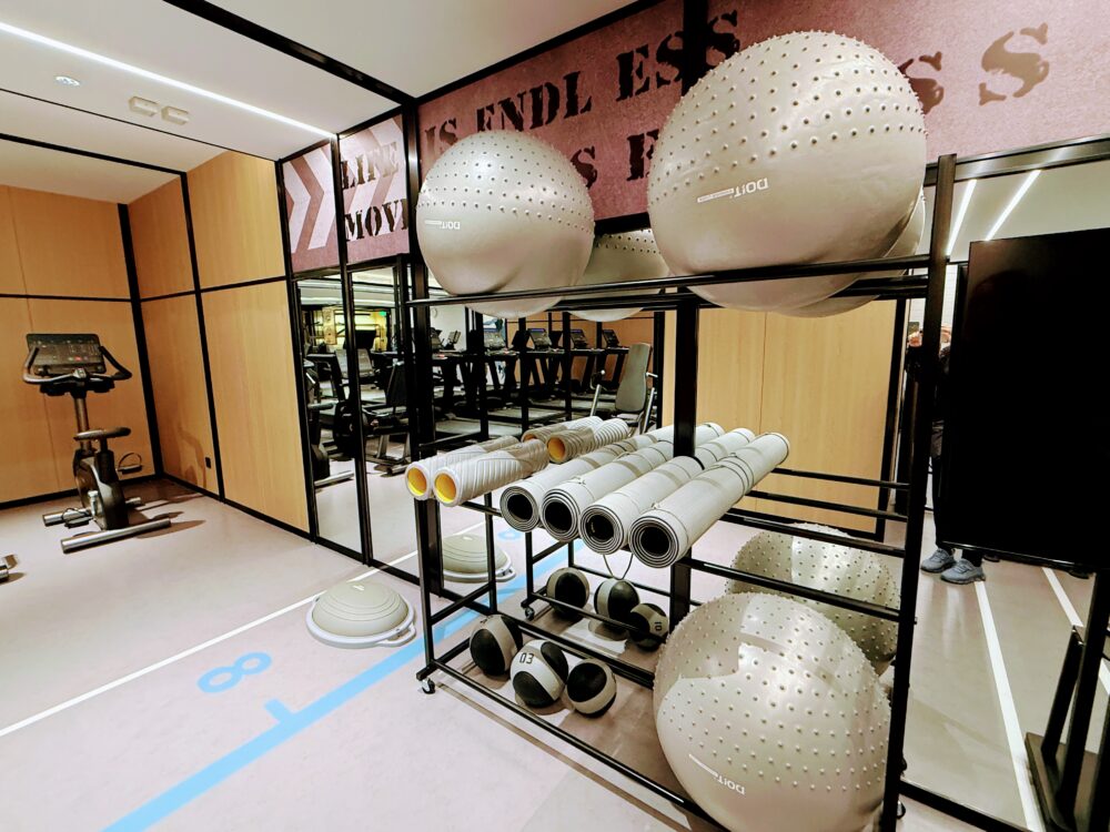 バランスボールやヨガマットなどのエクササイズ用具も完備。