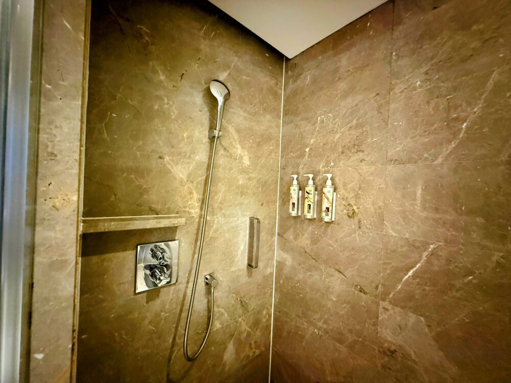 ガラス張りのシャワーブース。壁には固定シャワーとハンドシャワーが備わり、ARGUSシリーズのバスアメニティが並ぶ。