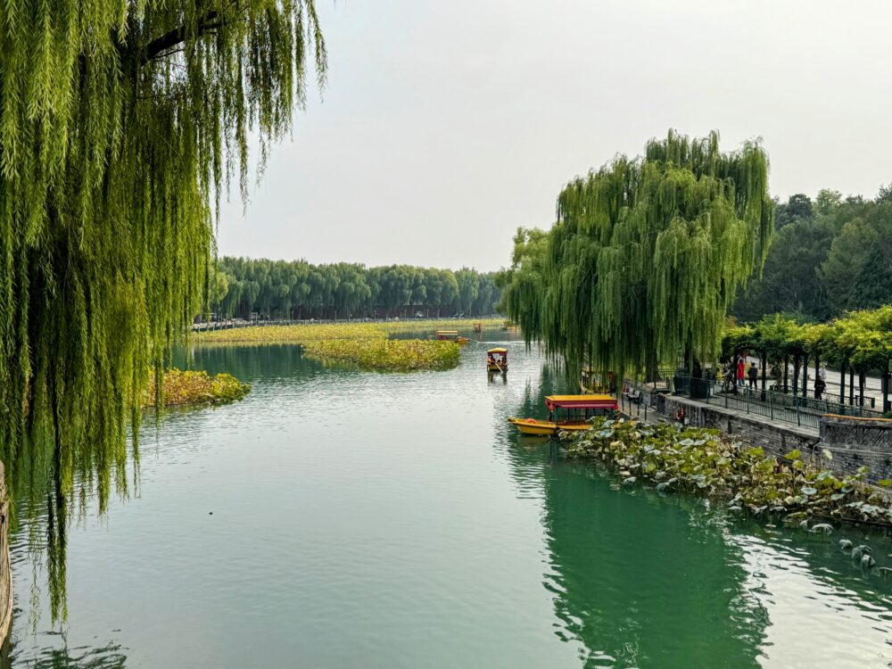 湖畔の景色。遊覧船が行き交う静かな水面。