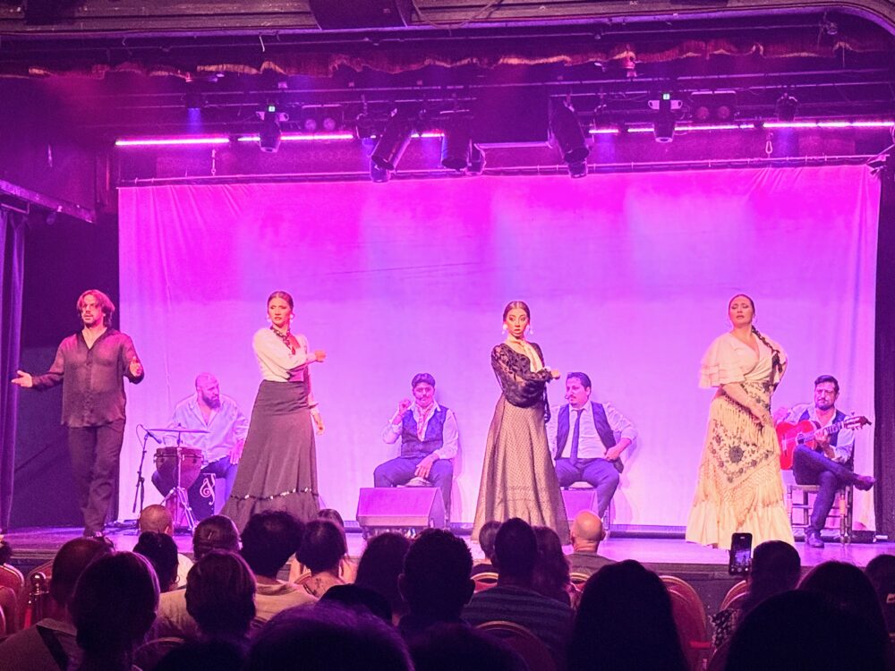情熱的な踊りを披露するフラメンコダンサーと演奏家たちのステージ。