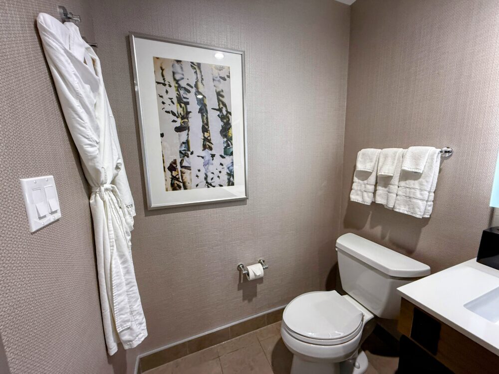 トイレエリア。壁には白樺の木を描いたアートが飾られ、タオルラックには清潔なタオルが用意されている。左手にはバスローブが掛かっている。
