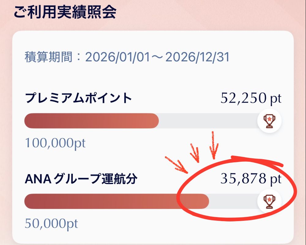 プレミアムポイントANAグループ運行分35878Pt