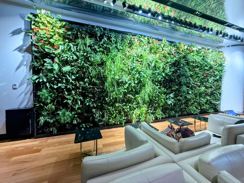ターキッシュエアラインズ国内線ラウンジの壁一面のグリーンウォール。本物の植物で癒される空間