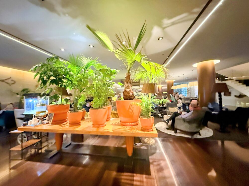 観葉植物が飾られた大きな木製テーブルと、奥に広がる落ち着いたラウンジ・ロビーエリア