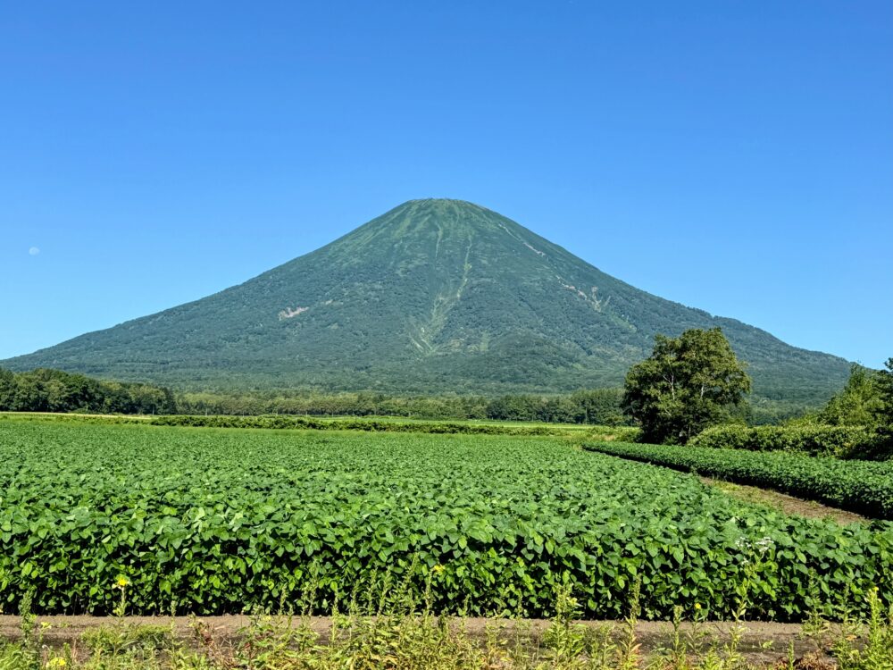 ニセコへのドライブ中に見えた羊蹄山と、手前に広がる畑