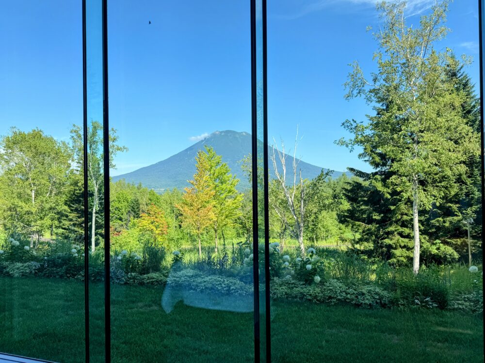館内の大きな窓越しに見える羊蹄山。青空の下、手前には芝生と白い花が咲く庭、白樺やモミの木が並ぶ。