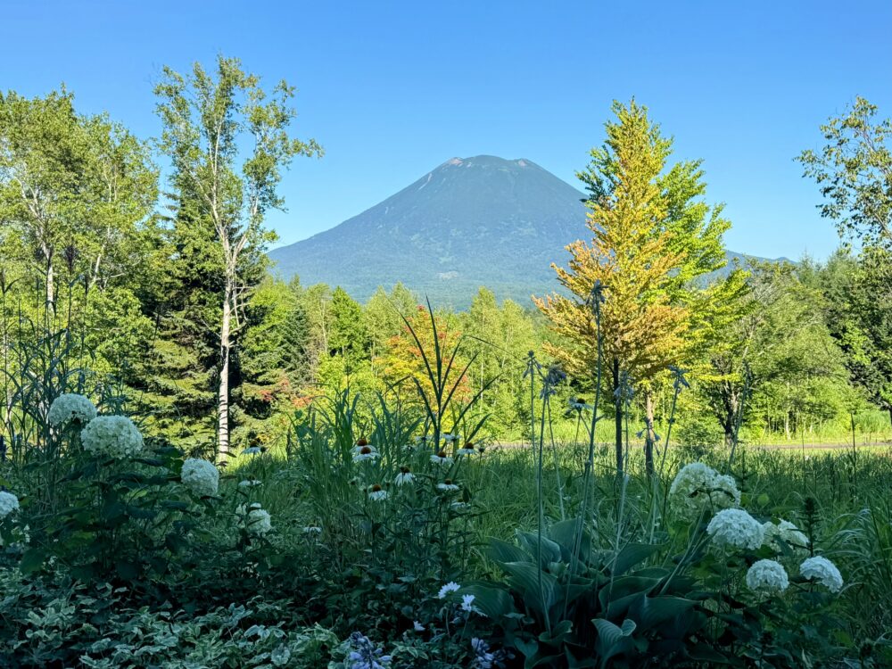 東山ニセコビレッジ・リッツ・カールトン・リザーブ周辺の美しい庭園風景。手前には白い花々や緑が広がり、奥には雄大な羊蹄山がそびえ立っている。